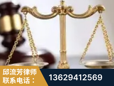 阜阳-委托诉讼代理人出庭
